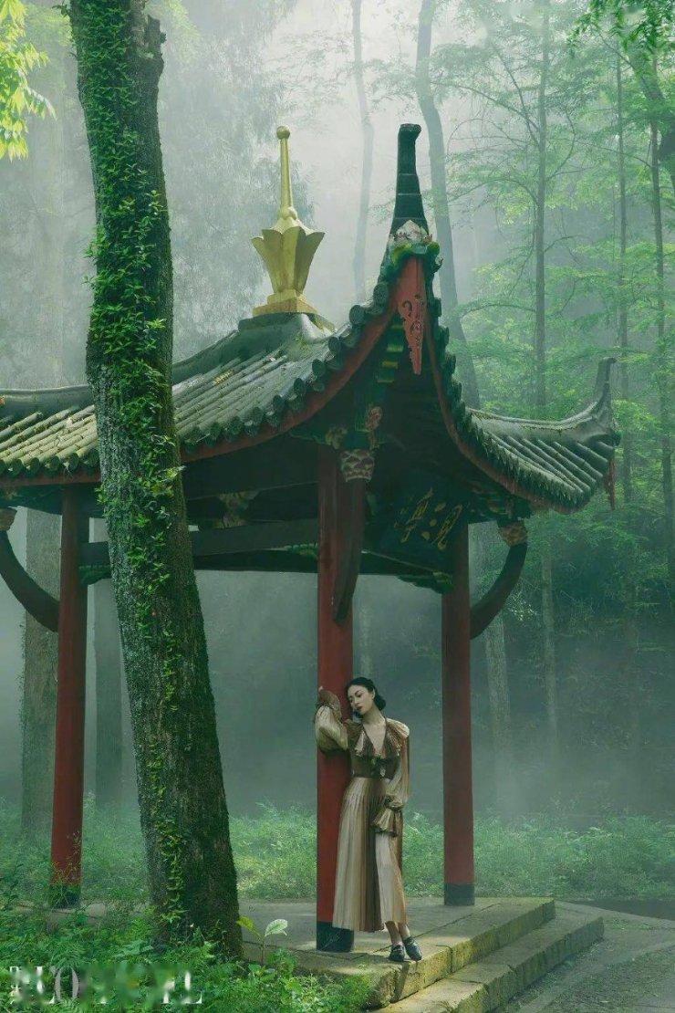 海南手串糠梨油梨紫油梨手串如何选择？