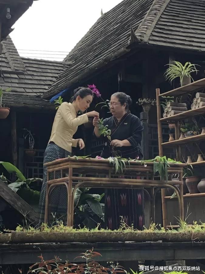 《猛兽派对》上线“好友通行证”功能,可邀请一名未购买游戏的小伙伴共玩