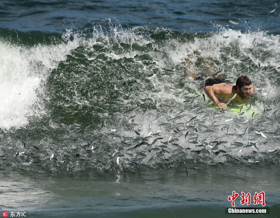 第二批055大驱9号舰下水,10号舰紧随其后,海军进入下饺子模式