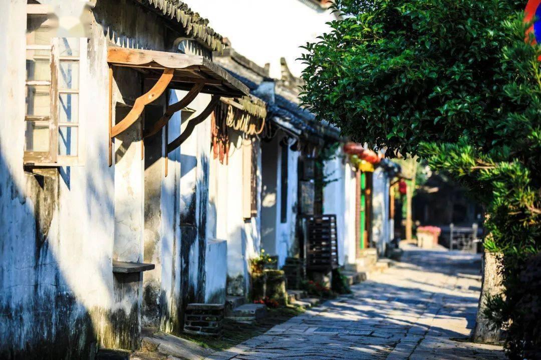 商洛商南公安依法查处一起网络暴力案件