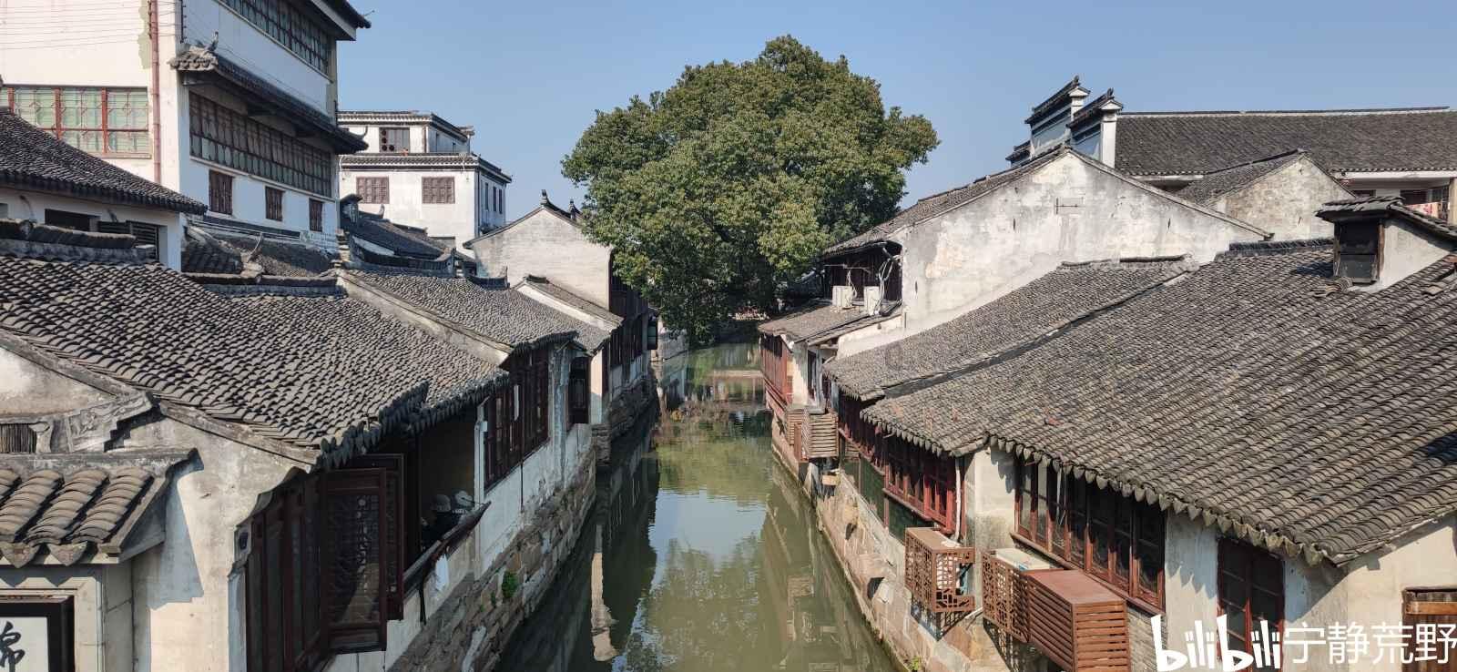 “听见”两会丨海南省政协委员王聪:建议调整乡村小学教师定向培养计划 适应基础教育发展需要